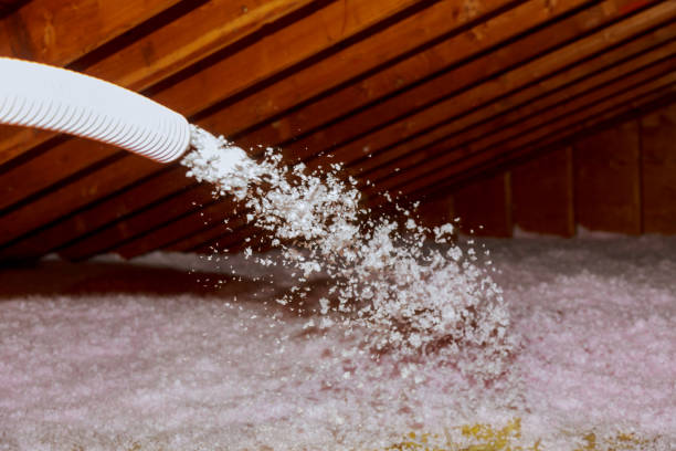 Best DIY Insulation Kits and Guidance in Sea Bright, NJ
