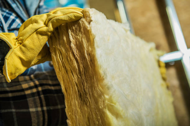 Best Blown-in Insulation in Sea Bright, NJ